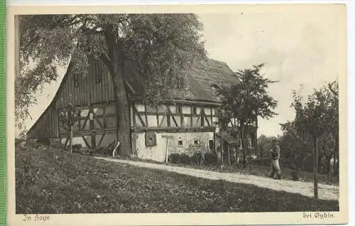 In Hayn bei Oybin um 1900/1910, Verlag: B. Zillessen, Bautzen, Heimatschutz-  Postkarte,  unbenutzte Karte , Erhaltung: