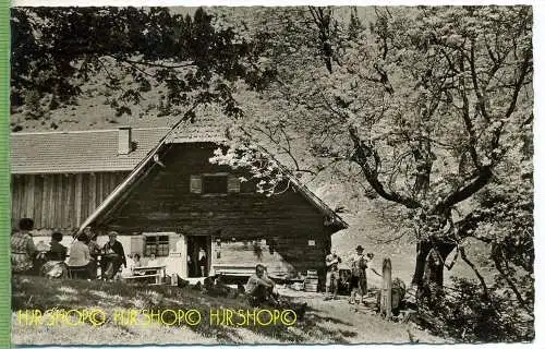 Steiner – Alm am Staufen um 1950/1960, Verlag: Maier-Schmid, Bad Reichenhall, unbenutzte Karte, Stempel Steiner