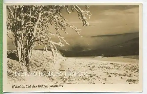 Nebel im Tal der Wilden Weißeritz,  Verlag:  Eulitz, Radeburg, POSTKARTE ,  unbenutzte Karte ,  Erhaltung: I-II