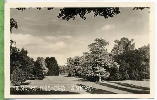 Palmengarten Frankfurt a. M.  Verlag: Fritz Brieke Söhne,  POSTKARTE ,  unbenutzte Karte ,  Erhaltung: I-II