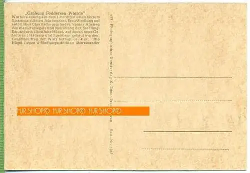 Bremerhaven, Grabung Feddersen Wierde, um 1950/1960 Verlag: ---- Postkarte, ungebrauchte Karte