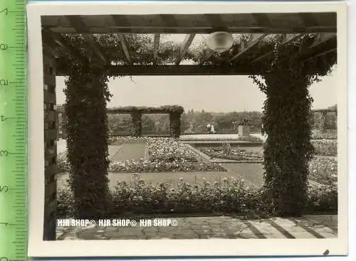 Essen, Grugapark, ca. 1930/1940,  Sammelfoto 9,2 x 7 cm,  Pergolagarten