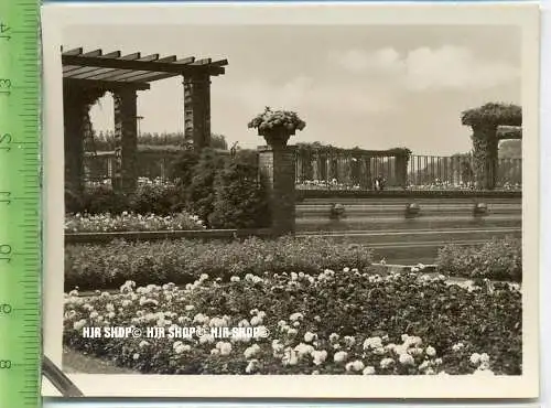 Essen, Grugapark, ca. 1930/1940,  Sammelfoto 9,2 x 7 cm,  Speierwand