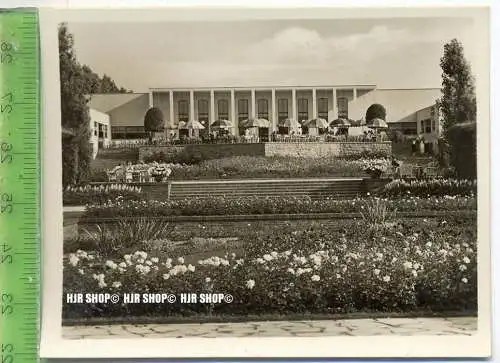 Essen, Grugapark, ca. 1930/1940,  Sammelfoto 9,2 x 7 cm,  Rosenanlage mit Rosenkaffee