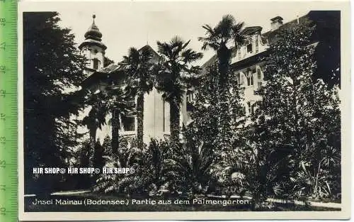 „Insel Mainau-Palmengarten“ um 1930/1940 ungebrauchte Karte