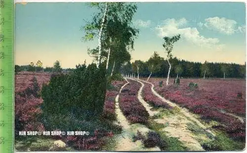 „Ijssenstein, Jac. Oskam, Sigarenfabriek, Lüneburger Heide“ um 1920/1930 Ansichtskarte, ungebrauchte Karte