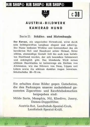 Der Kuvasz, c38 Austria-Bildwerk, Kamerad Hund, Serie II: Schäfer und Hirtenhunde.