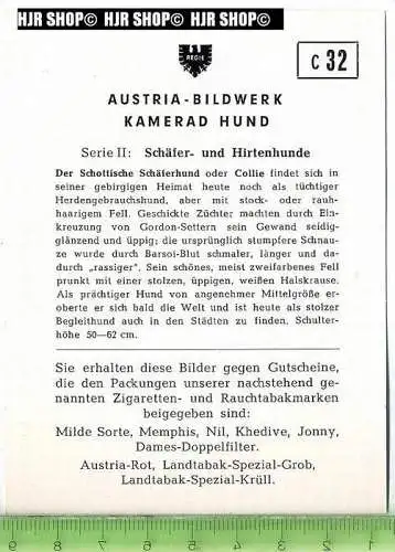 Der schottische Schäferhund oder Collie, c32 Austria-Bildwerk, Kamerad Hund, Serie II: Schäfer und Hirtenhunde.