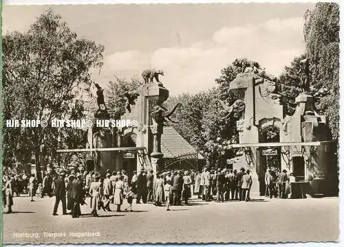 „Hamburg, Hagenbeck“  um 1950/1960  ANSICHTSKARTE,  ohne Frankatur,