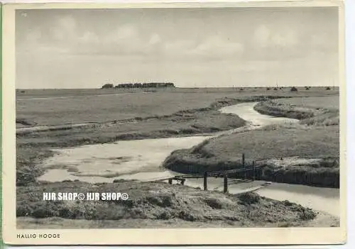 „Hallig Hooge “  um 1930/1940 Ansichtskarte,(Großformat)  ungebrauchte Karte