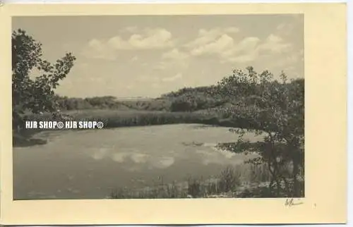 „Vogelkoje-Sylt“  um 1930/1940 Ansichtskarte,  ungebrauchte Karte