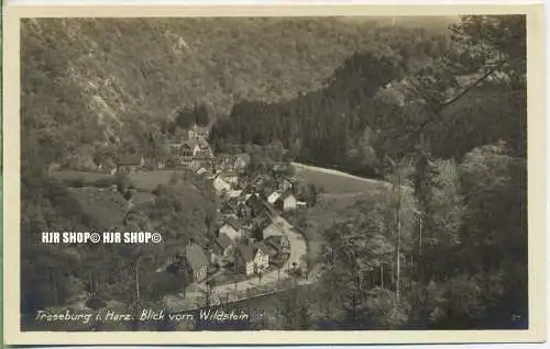 „Treseburg im Harz“  um 1930/1940 Ansichtskarte,  ungebrauchte Karte