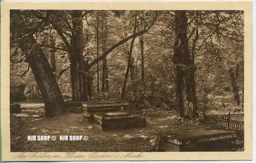 um 1920/1930 Ansichtskarte  „Alte Gräber im Kloster,“  ungebrauchte Karte