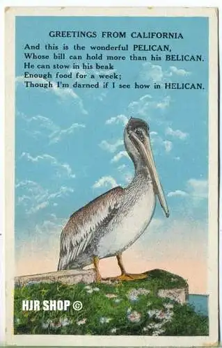 um 1930/1940 Ansichtskarte " Greetings From California", ungebrauchte Karte