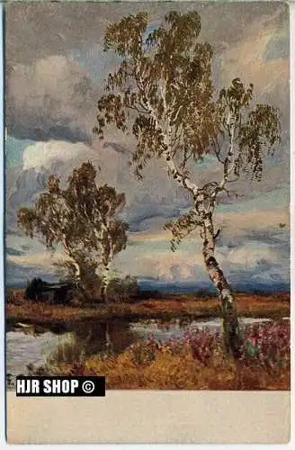 um 1910/1920 Ansichtskarte Landschaft