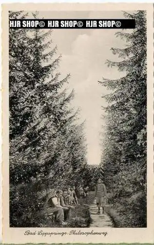 „ Bad Lippspringe, Philosophenweg“ um 1940/1950, Ansichtskarte, ungebrauchte Karte