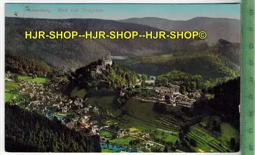 Schwarzburg. Blick vom Trippstein , 1919- Verlag: Richard Zieschank, Ronneburg, POSTKARTE- mit Frankatur, mit  Stempel,