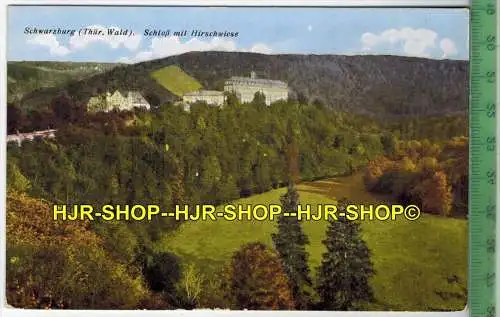 Schwarzburg Thür. Wald, Schloß mit Hirschwiese-, Verlag: A. Bernhardt, Schwarzburg, POSTKARTE, Erhaltung: I-II,unbenutzt