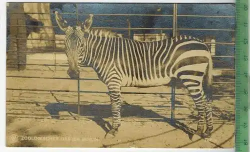 Zoologischer Garten, Berlin ,1913-, Verlag: -----, POSTKARTE- mit Frankatur, mit  Stempel, gelaufen, CHARLOTTENBURG