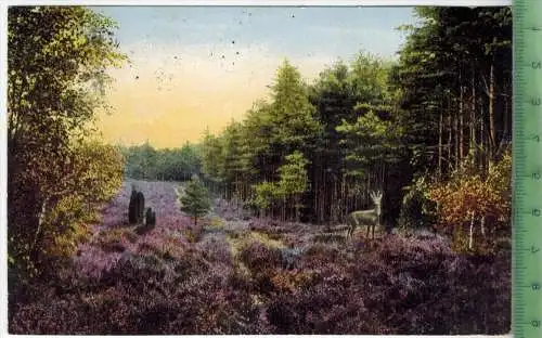 Lüneburger Heide. Am Waldesrand 1916, Verlag: K.G.H. Nr. 961, Postkarte ohne Frankatur, mit Stempel, MUNSTER