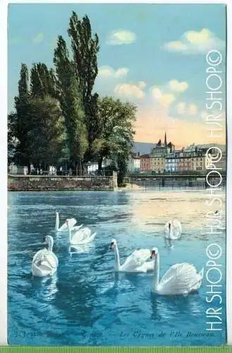 GENEVE – Les Cygnes,  um 1910/20 Verlag: ------, Postkarte,