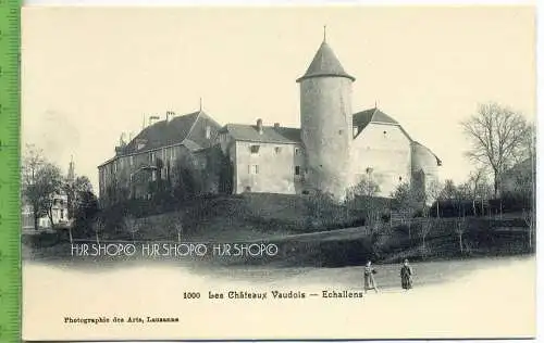 „Echallens, Les Chàteaux Vaudois“  um 1920 /1930 Verlag: Ph. Des Arts, Lausanne, Postkarte,