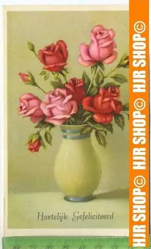 „Hartelijk Gefeliciteerd“  um 1950/1960  , Ansichtskarte mit Frankatur, mit Stempel,
