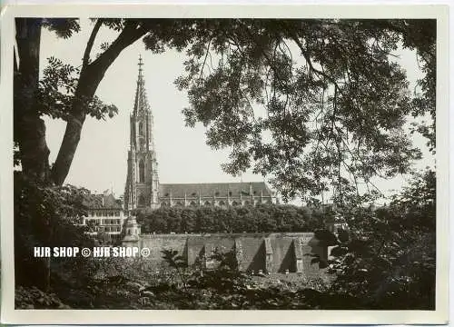 um 1920/1930 Ansichtskarte,  „Bern, Münster“  ungebrauchte Karte