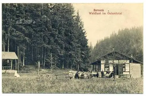 Berneck, Waldlust im Oelsnitztal, ungelaufen