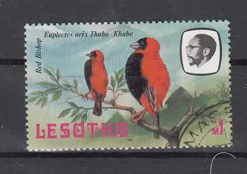 Lesotho  Nr 341 Gestempelt (Posten)