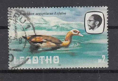 Lesotho  Nr 342 Gestempelt (Posten)