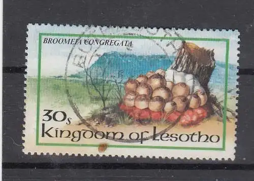 Lesotho  Nr 412 Gestempelt (Posten)