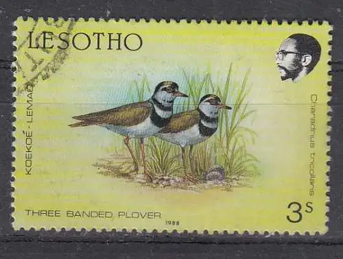 Lesotho  Nr 679 Gestempelt (Posten)