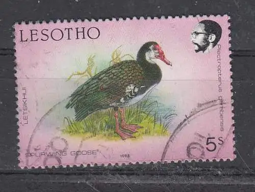 Lesotho  Nr 680 Gestempelt (Posten)