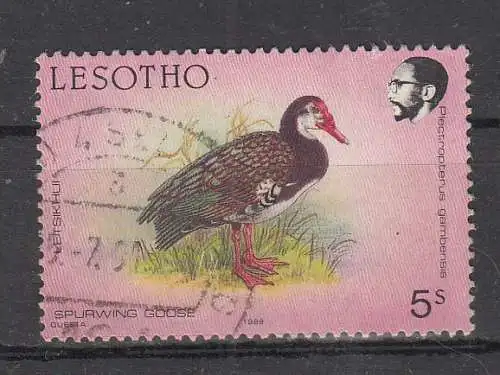 Lesotho  Nr 680 Gestempelt (Posten)