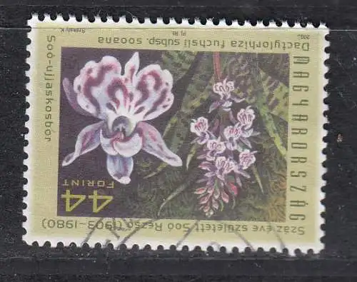 Ungarn  Nr 4811 Gestempelt (Posten)
