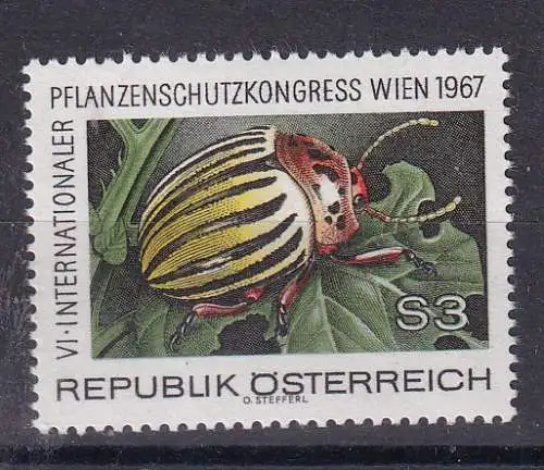 Österreich  Nr 1243 Postfrisch / **