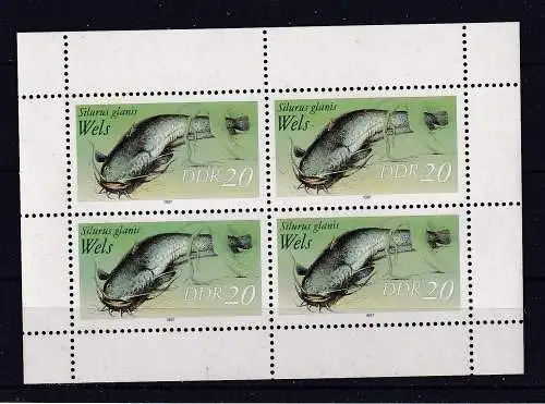 DDR  Nr 3097 KB Postfrisch / **