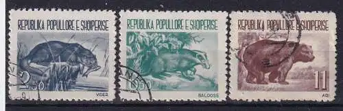 Albanien  Nr 627/29 Gestempelt (Posten)
