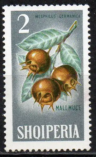 Albanien, Mi-Nr. 913 **, Mispel-Frucht