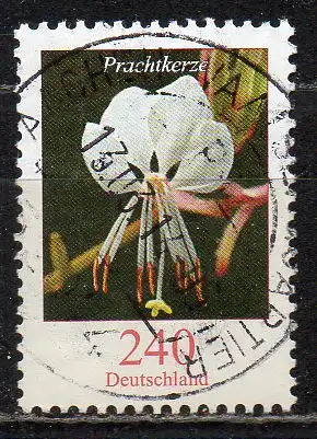 BRD, Mi-Nr. 2969 gest., DS Blumen: Prachtkerze