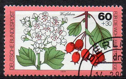 BRD, Mi-Nr. 1026 gest., Wohlfahrt 1979 - Blätter, Blüten und Früchte