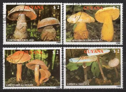 Guyana, Mi-Nr. 2480 - 2483 gest., kompl., Pilze