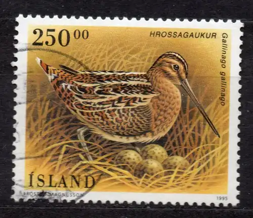 Island, Mi-Nr. 834 gest., Vogel