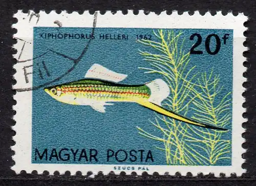 Ungarn, Mi-Nr. 1820 gest., Zierfisch (Grüner Schwertträger)