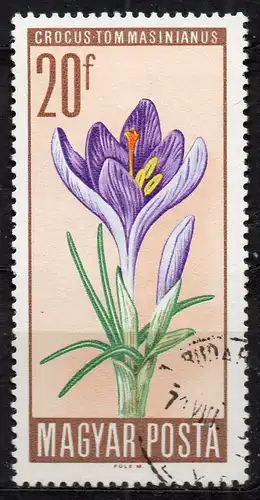 Ungarn, Mi-Nr. 2212 gest., Krokus