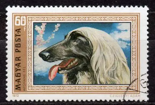 Ungarn, Mi-Nr. 2743 gest., Afghanischer Windhund