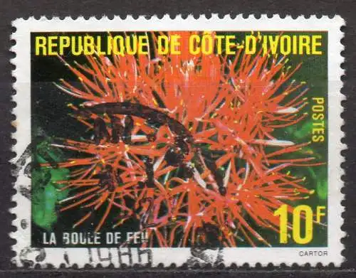 Elfenbeinküste, Mi-Nr. 629 gest., Flora: Feuerkugel