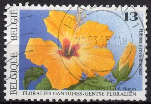 Belgien, Mi-Nr. 2641 gest., Genter Blumenschau: Hibiscus