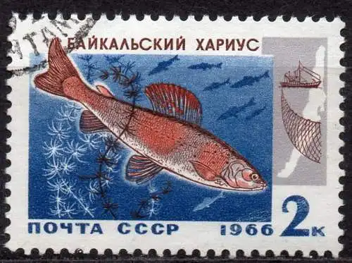 Sowjetunion, Mi-Nr. 3264 gest., Baikal-Äsche